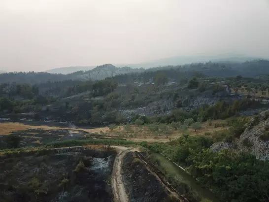 Sakarya Geyve’de Orman Yangını 2. Gününde: Müdahale Sürüyor